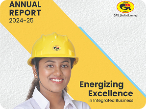 Annual report 2024–25