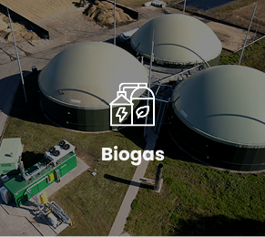 Biogas
